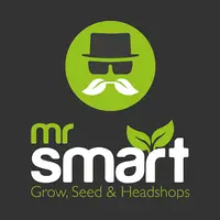 Mr. Smart logo