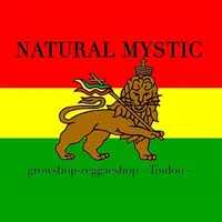 Natural Mystic logo